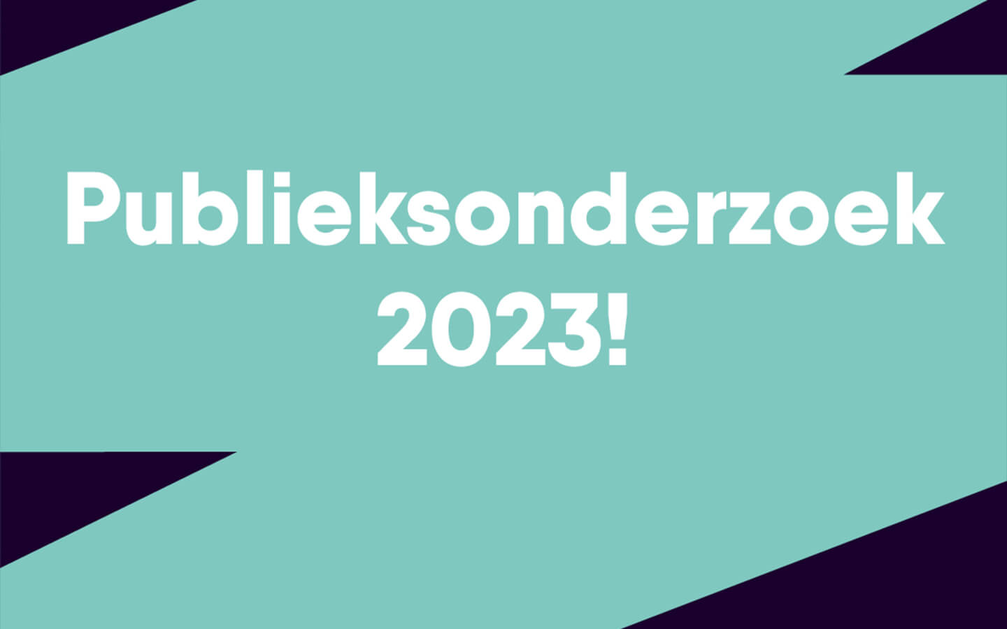 Publieksonderzoek